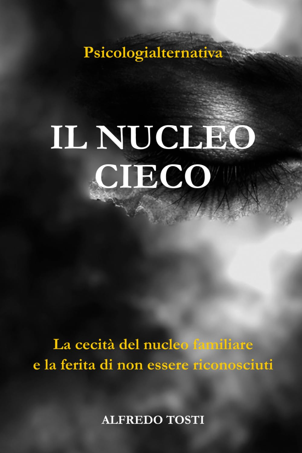 Copertina del libro Il Nucleo Cieco